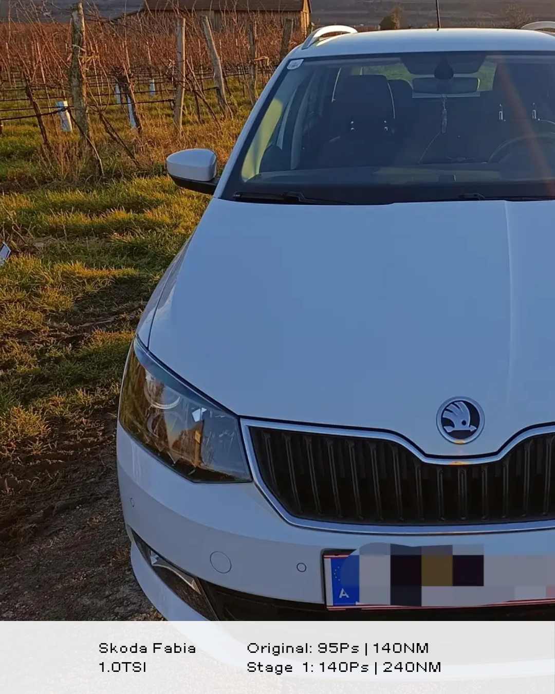 Skoda Fabia 1.0 TSI Stage 1